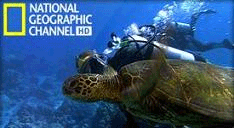 �����  National Geographic HD